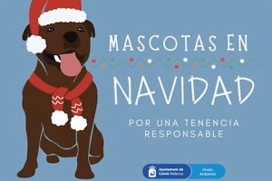Imatge Mascotes per Nadal - Per una tinença responsable